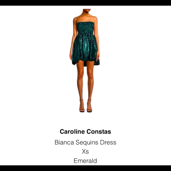Caroline Constas Sequin Party Dress! Worn once! - Picture 1 of 2